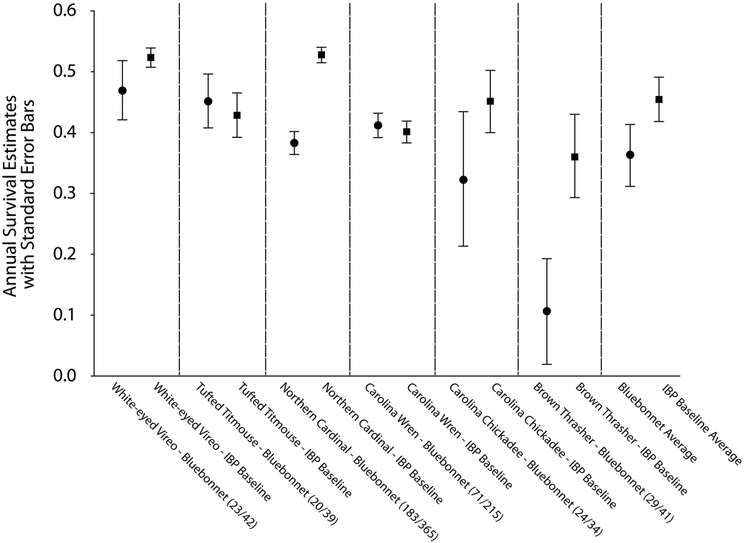 Figure taken from LABO's 2013 publication 'Annual survival of birds captured in a habitat island bordered by the urban matrix of Baton Rouge, LA' illlustrating differences between survival of birds captured at Bluebonnet Swamp and the south-central region of the USA